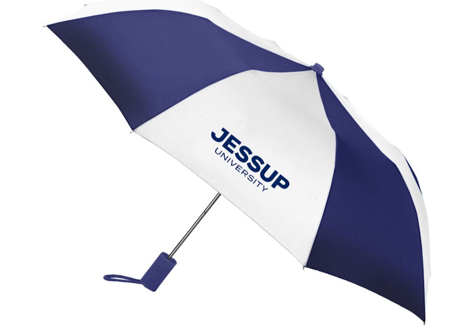 Umbrella - Navy/White